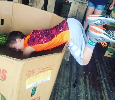 kids dives into box of watermelons